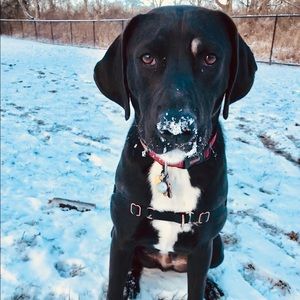 Meet your Posher, Jess